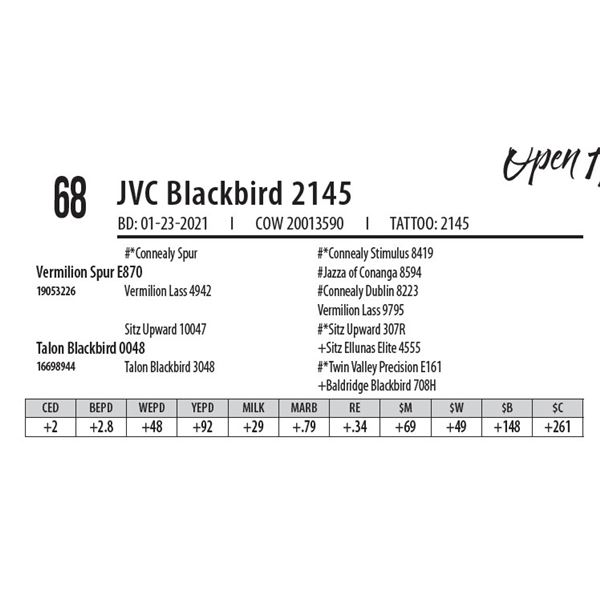 JVC BLACKBIRD 2145