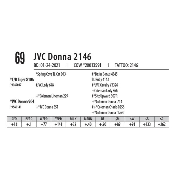 JVC DONNA 2146