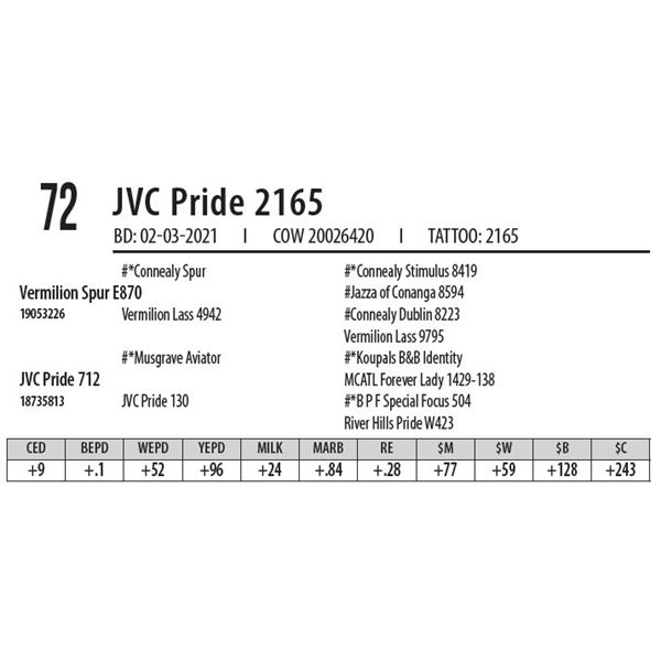 JVC PRIDE 2165