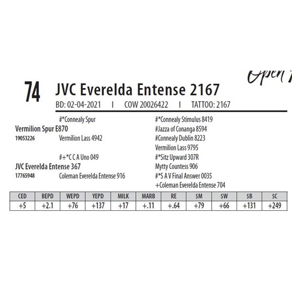 JVC EVERELDA ENTENSE 2167