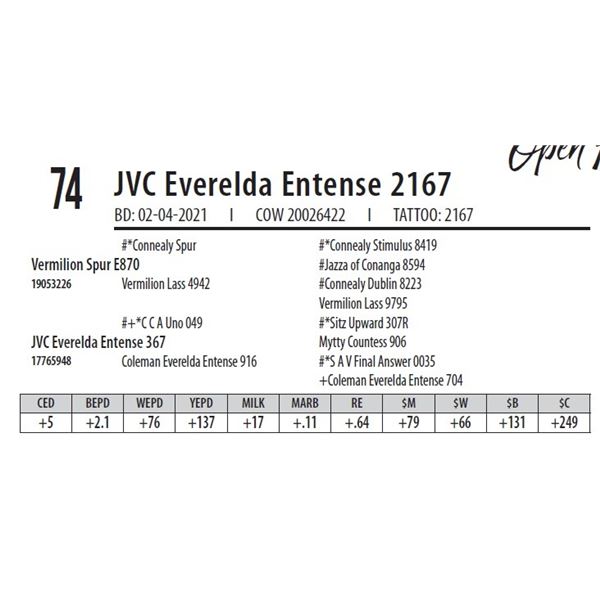 JVC EVERELDA ENTENSE 2167