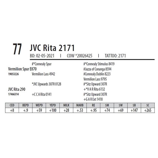 JVC RITA 2171