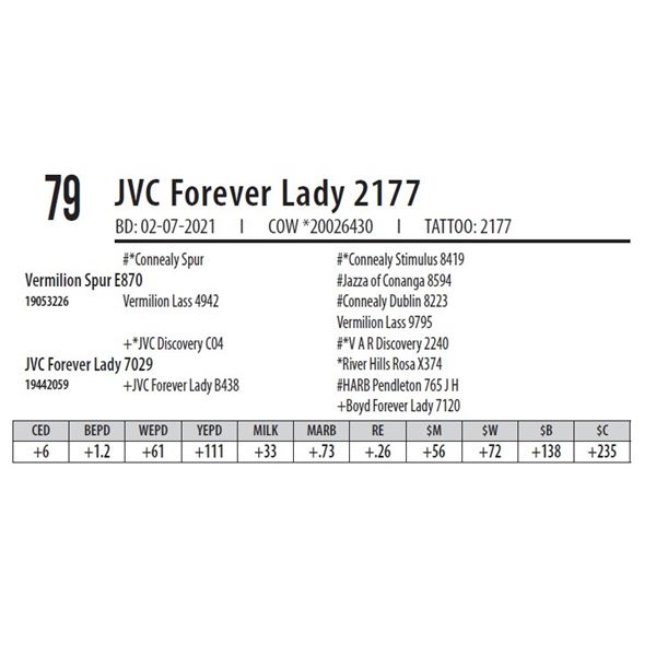 JVC FOREVER LADY 2177