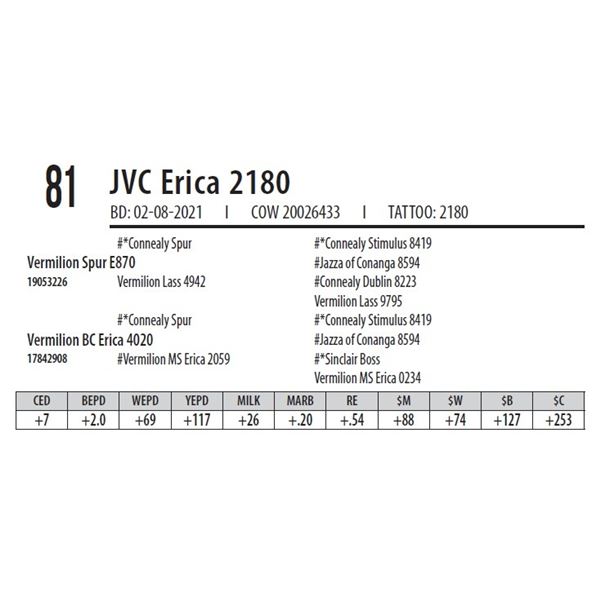 JVC ERICA 2180