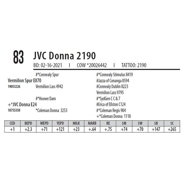 JVC DONNA 2190