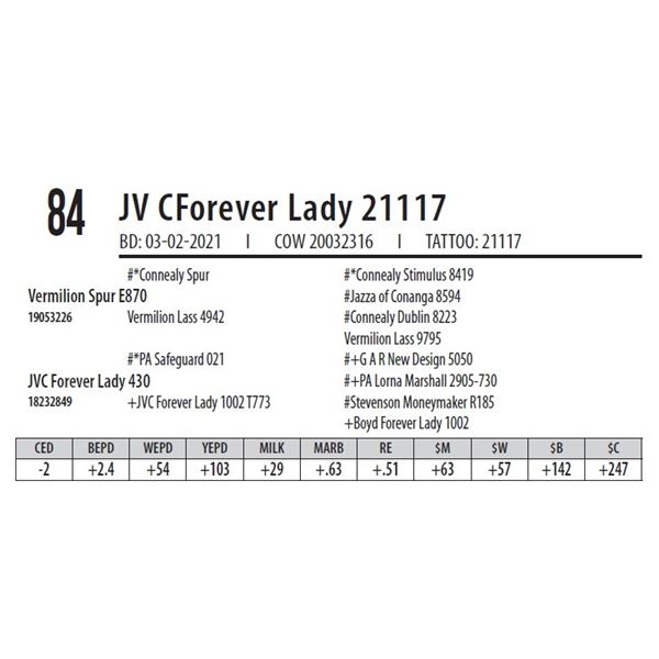 JVC FOREVER LADY 21117