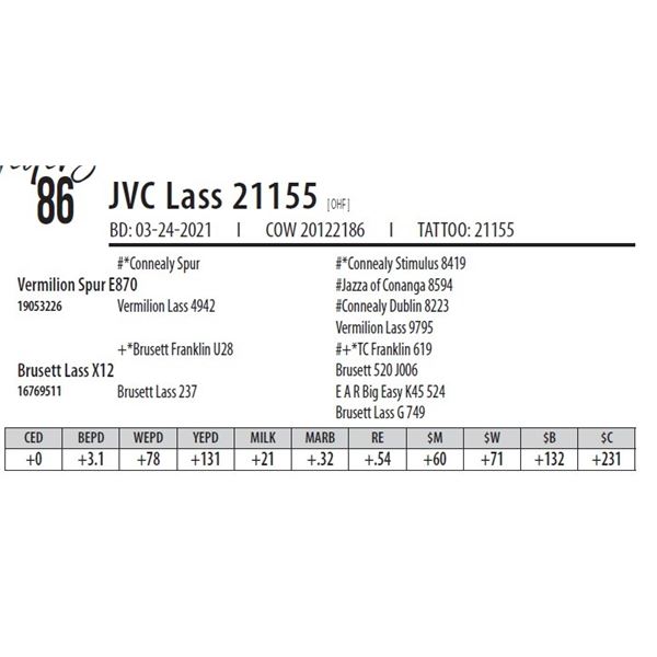 JVC LASS 21155