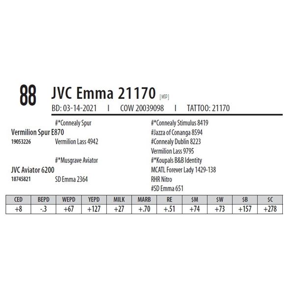 JVC EMMA 21170