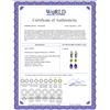 Image 2 : Genuine 5.38 ctw Peridot & Amethyst Earrings 14KT White Gold - REF-62Y7F
