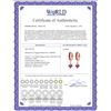 Image 2 : Genuine 3.7 ctw Ruby Earrings 14KT White Gold - REF-60M3T