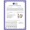 Image 2 : Genuine 1.30 ctw Multi-Color Sapphire Earrings 14KT White Gold - REF-42X6M