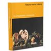 Image 1 : Art Book: Natura morta Italiana