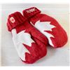 Image 1 : HUDSON BAY AUTHENTIC OLYMPIC MITTENS L/XL ADULT