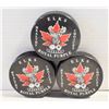 Image 1 : COLLECTION OF ELKS ROYAL PURPLE PUCKS