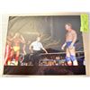 Image 1 : WWE WWF HOF PAT PATTERSON SIGNED 8 X 10