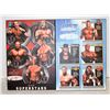 Image 1 : PAIR OF WRESTLING POSTER BOARDS