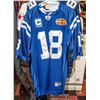 Image 2 : PEYTON MANNING SUPER BOWL COLTS