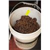 Image 1 : PAIL OF HEAVY DUTY LIFT CHAINS