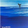 Image 3 : Fluke by Wyland Original