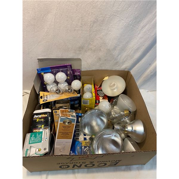 Lot of bulbs