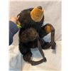 Image 2 : Bear back pack