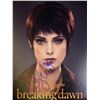Image 1 : JSA Autograph Ashley Greene Poster