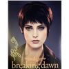 Image 1 : JSA Autograph Ashley Greene Poster