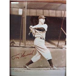 Autographed Photo TOM HENRICH:
