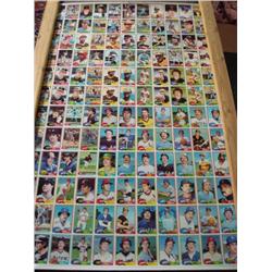 TOPPS 1981 Baseball Card Sheet 132 Uncut Cards: