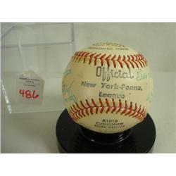 Team Signed Ball Wellsville Red Sox's: