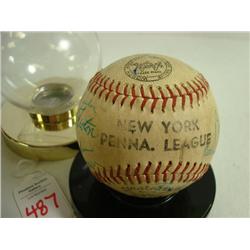 Team Signed Ball Wellsville Red Sox's: