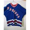 Image 2 : BARRY RICHTER Game Worn Jersey #29