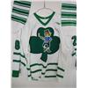 Image 4 : BOB MAUDIE Saint Patrick Day Binghamton Rangers Game