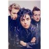 Image 1 : Autograph Signed Green Day Photo