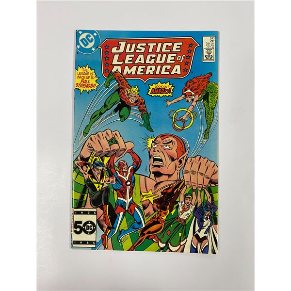Justice League #243 Vintage DC Comic
