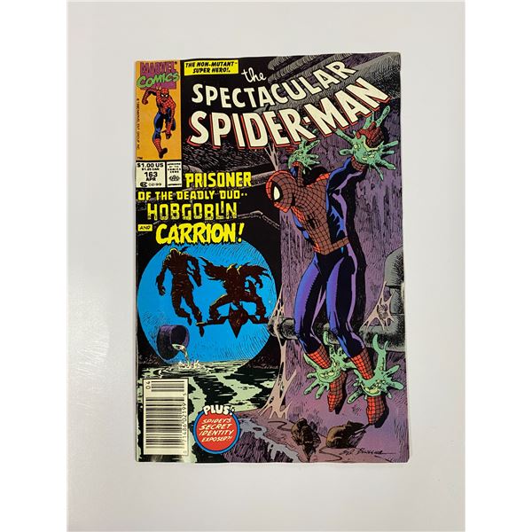 Spiderman #163 Vintage Marvel Comic