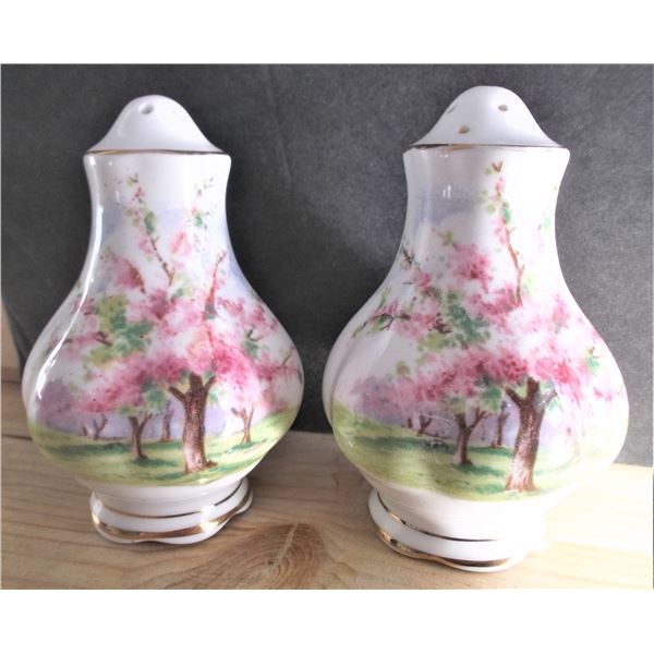 Royal Albert fine China Blossom Time salt and pepper shakers