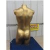 Image 3 : 1/2 Body Counter Store Display Mannequin