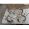 Image 1 : 8 Deer Sheds