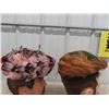 Image 2 : 2 Vintage Ladies Feather Hats