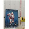Image 1 : 1990 Gretzky Poster Mounted on Hard Board  35" x 23" , NY Rangers Alternate Jersey , Titan Pro 99 Si