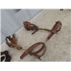 Image 2 : Set of Climbing Spurs & Safety Belt