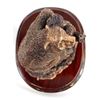 Image 8 : Copperized Bear Statue on Base