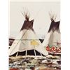 Image 2 : 1991 ''Dances with Wolves'' Framed Print by Zivic