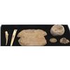 Image 6 : Prehistoric Native American Stone and Bone Tools