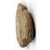Image 7 : Prehistoric Native American Stone Tools