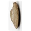 Image 8 : Prehistoric Native American Stone Tools