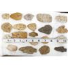 Image 8 : 20 Prehistoric Native American Stone Arrowheads