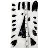 Image 8 : Contemporary and Prehistoric Obsidian Arrowheads