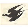 Image 2 : c1950 Audubon Print, Sooty Tern